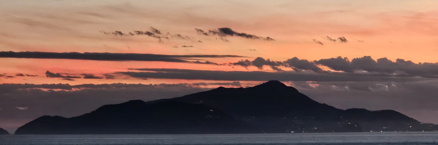 x - flyers2788 banner