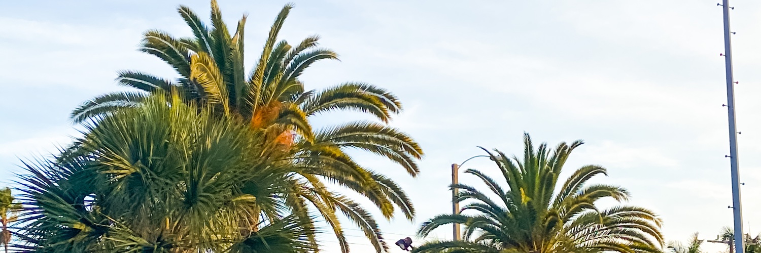 beth_crevier's profile banner image