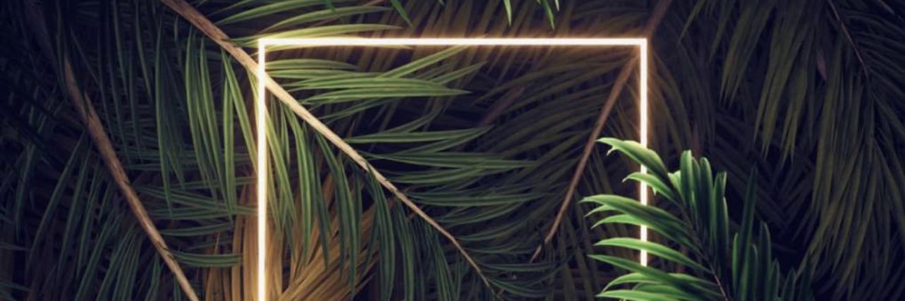 哈利德 🍁 banner