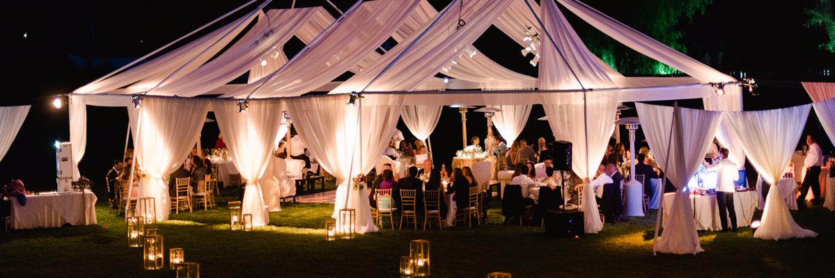 Sonia Hopkins Events banner