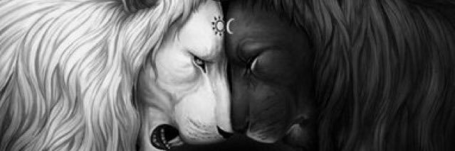 MaSeaez's profile banner image