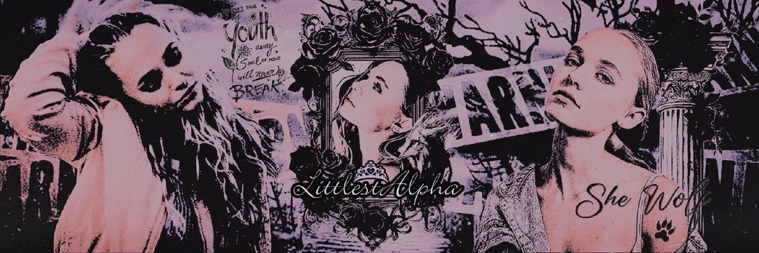 𝒞𝑟𝑒𝑠𝑐𝑒𝑛𝑡 𝓟𝒓𝒊𝒏𝒄𝒆𝒔𝒔 ☾ «parody» banner