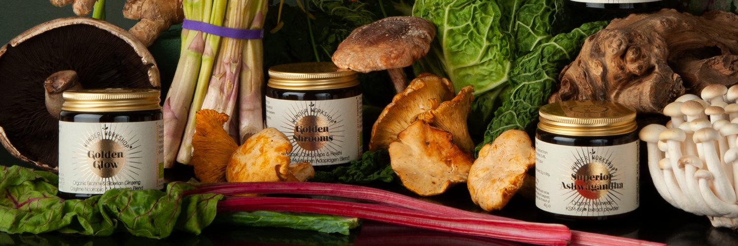 Wunder Workshop banner