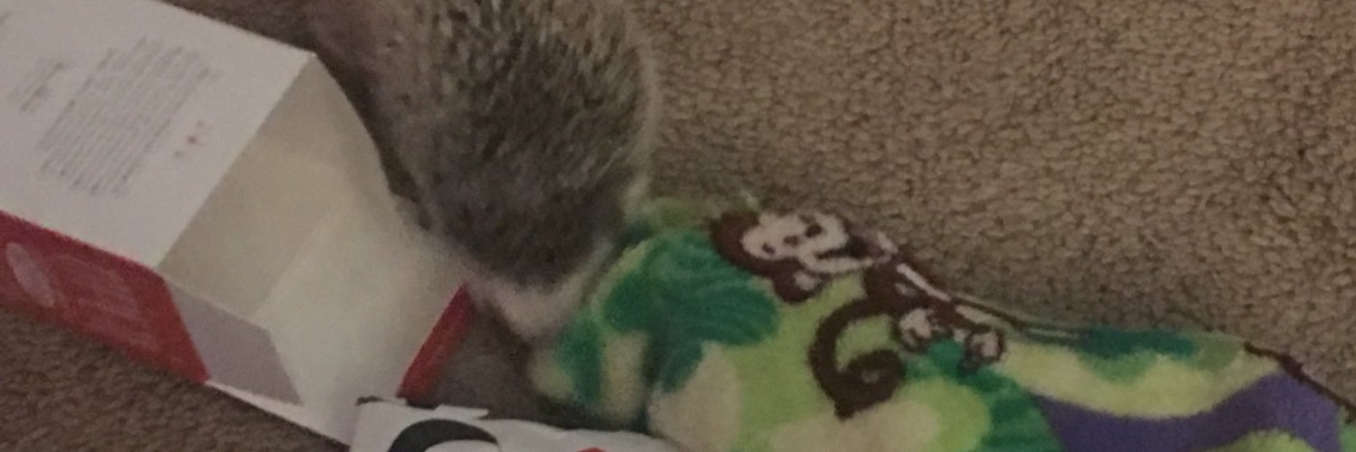 Zackary Adam banner