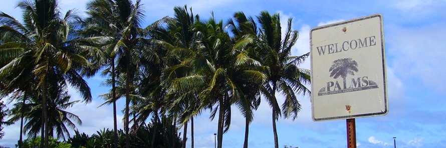 shiga_palms's profile banner image