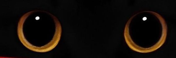 elsoslaio's profile banner image