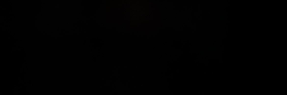 nini banner