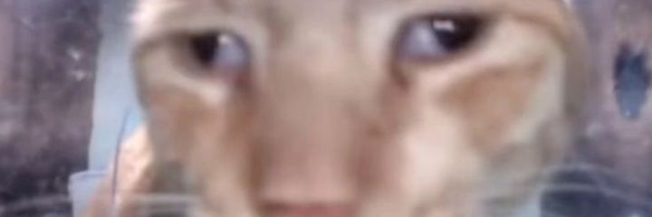 FrFranchepapera's profile banner image
