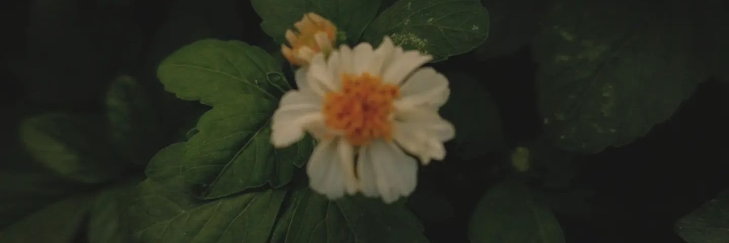 bleibled74688's profile banner image
