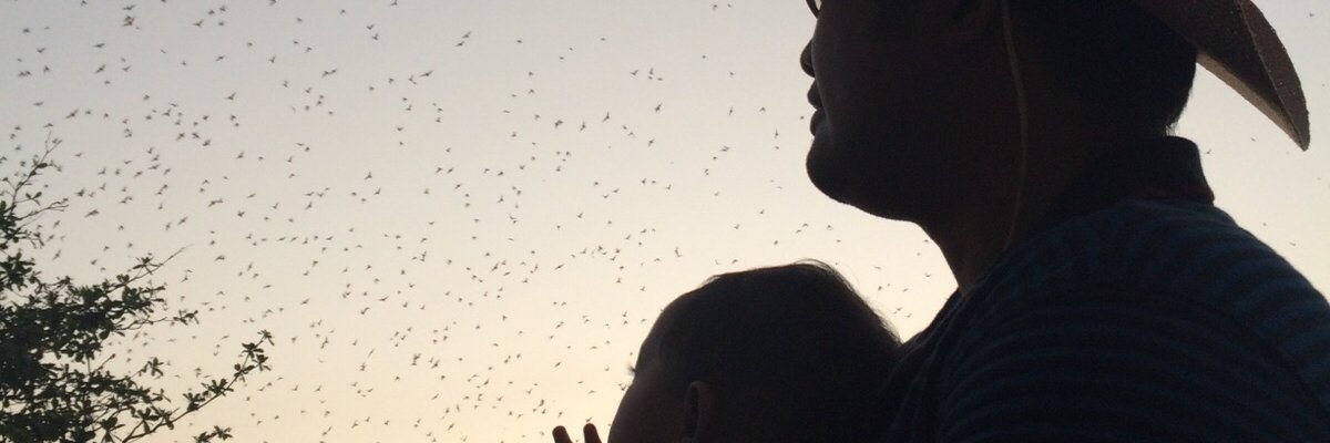 AditMahes's profile banner image