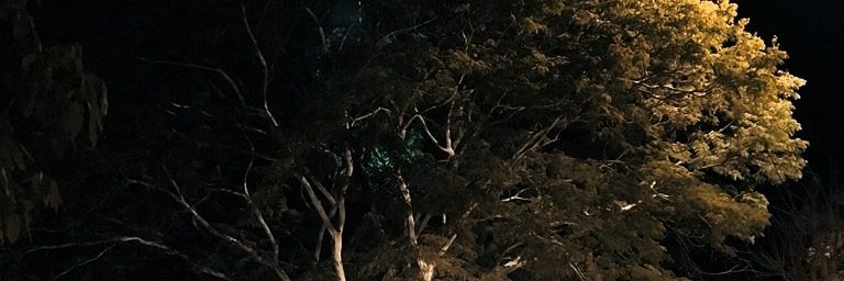 Agathags's profile banner image