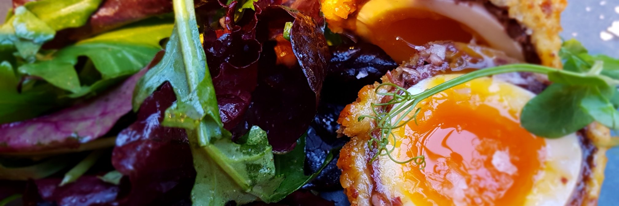 Philippa Ratcliffe banner