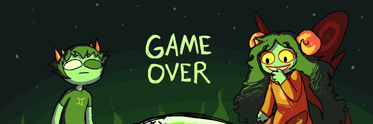 the accidental idiot banner