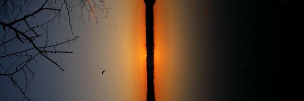 KePHF Profile Banner