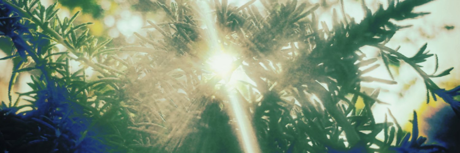 ericwangdesign's profile banner image
