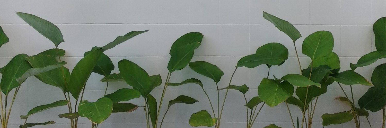 seLLanvtsr's profile banner image