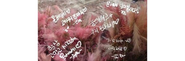 TBBS2 Profile Banner