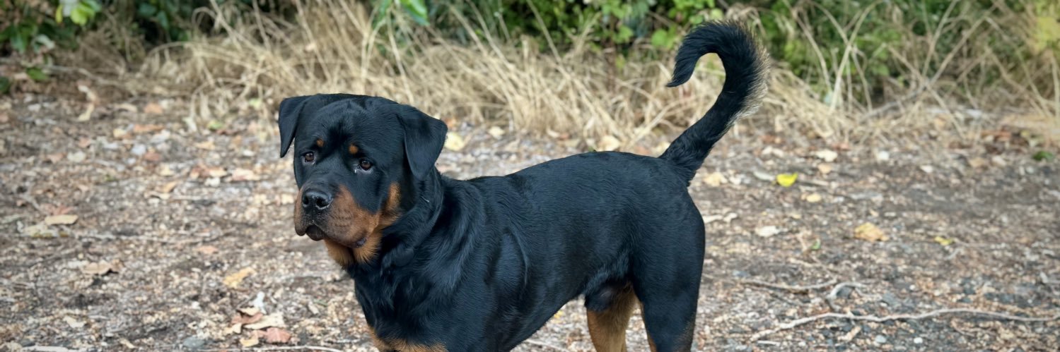 Northwest Trucker banner