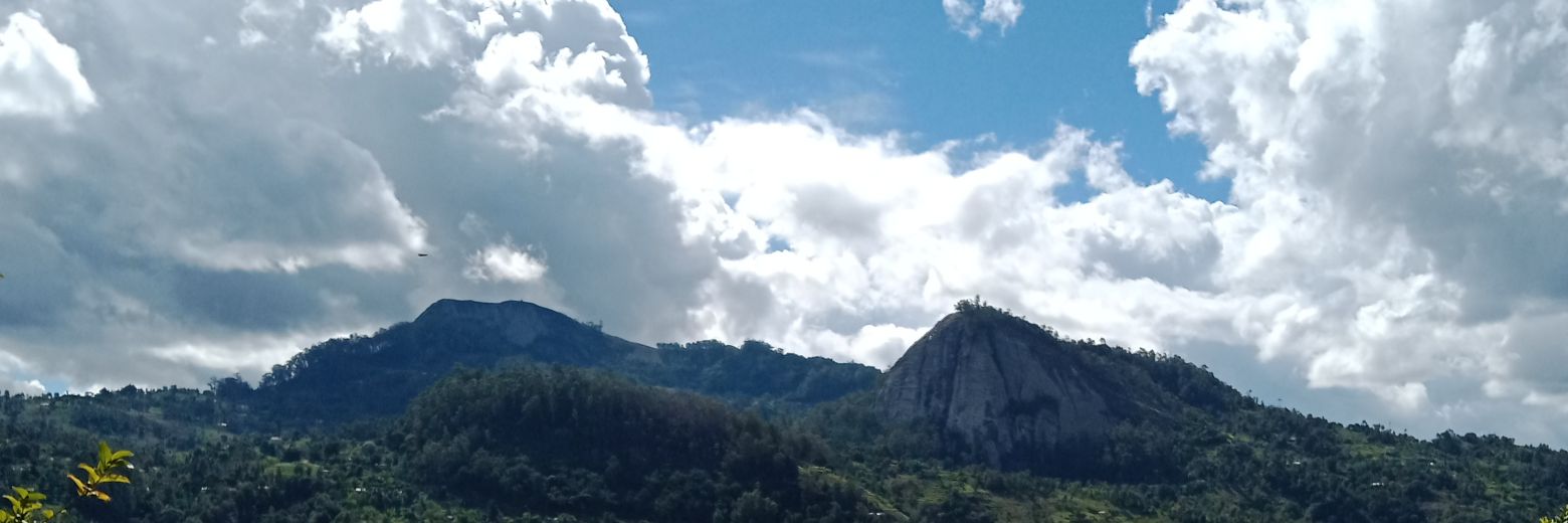 BadOther's profile banner image