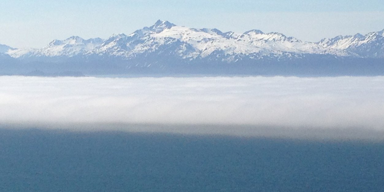 EmilyJohnsonCatalyst banner