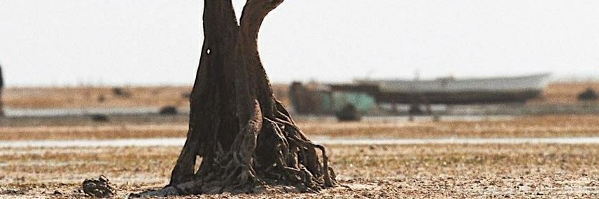 RizenMandati's profile banner image