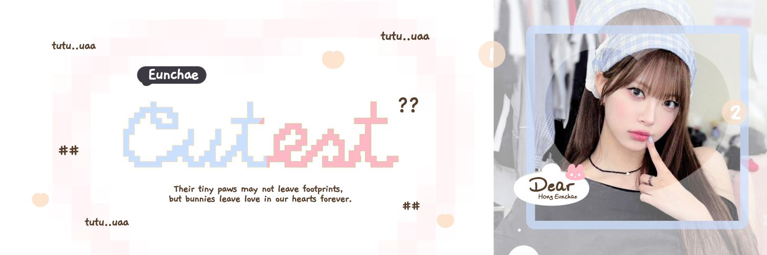 🎠dans pegasus banner