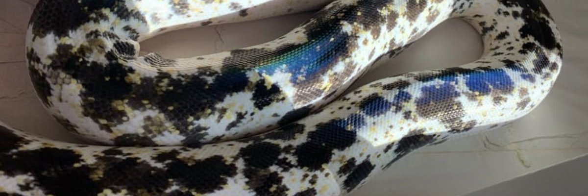KILLIONAIIRES's profile banner image