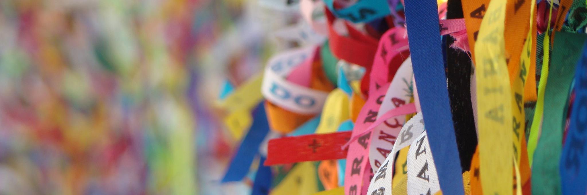 Graziela Di Giorgi banner