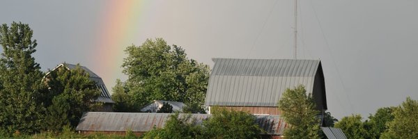 lisakivirist Profile Banner