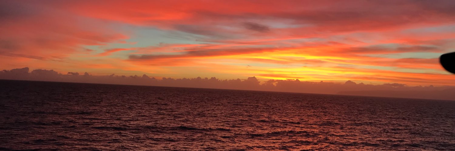 rosegasper's profile banner image
