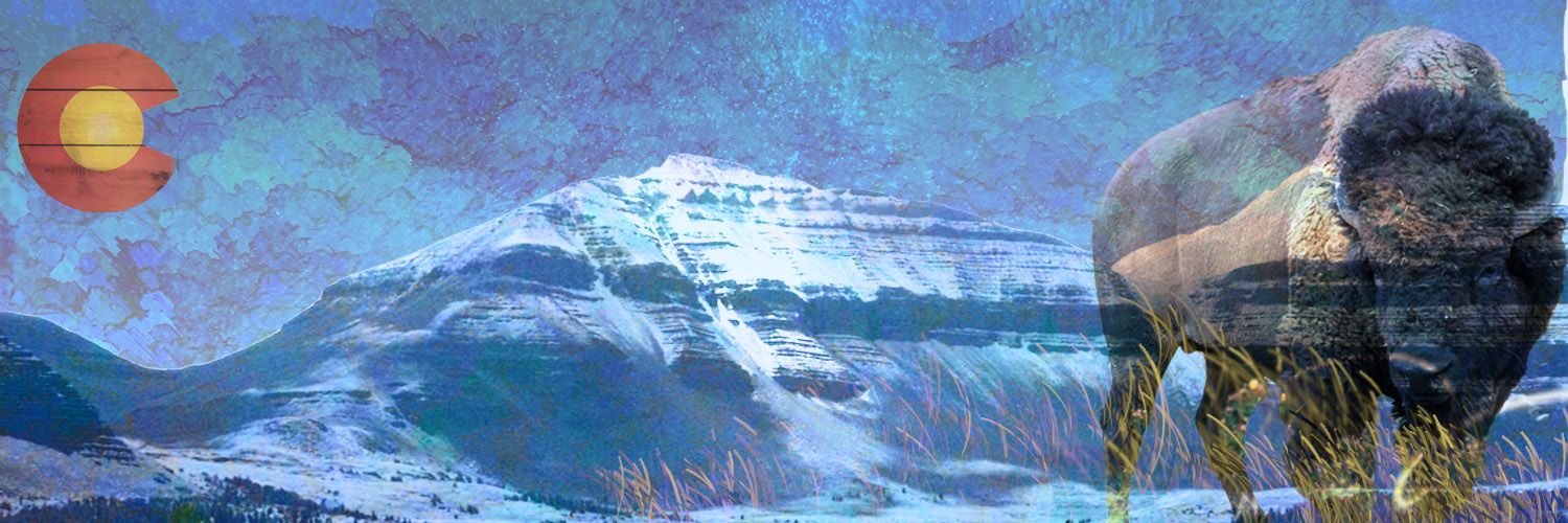 kaityrose95's profile banner image