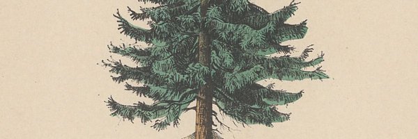 leo101030 Profile Banner