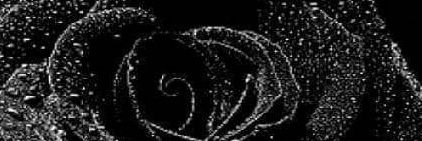 GhHantooshg's profile banner image