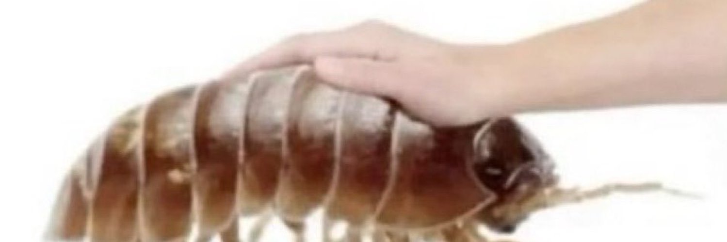 ♡'s banner