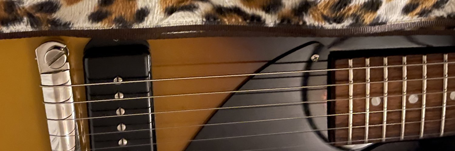 HOOTERHUNTER69's profile banner image