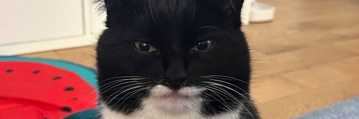 Lynenostar's profile banner image