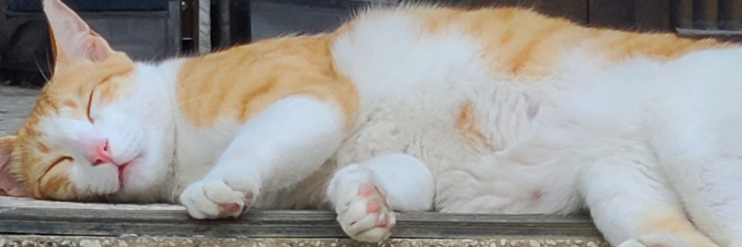 cpbycp's profile banner image