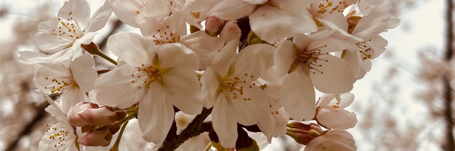 Ｍ banner