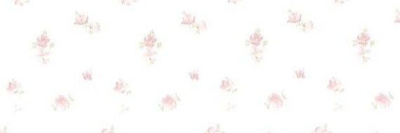 ًIRIS. banner