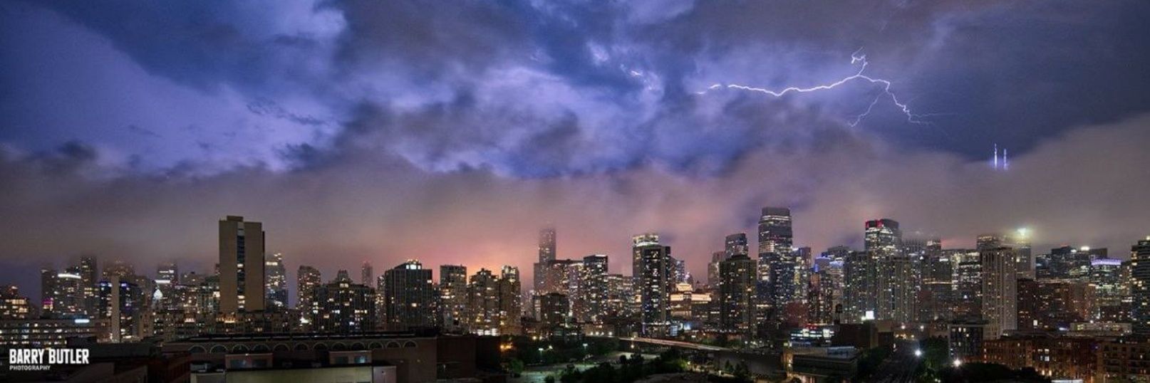 Albert Howard banner