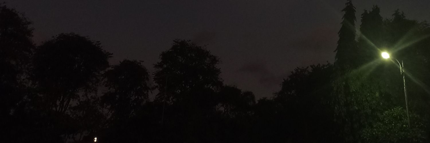 Sasie_Bi's profile banner image