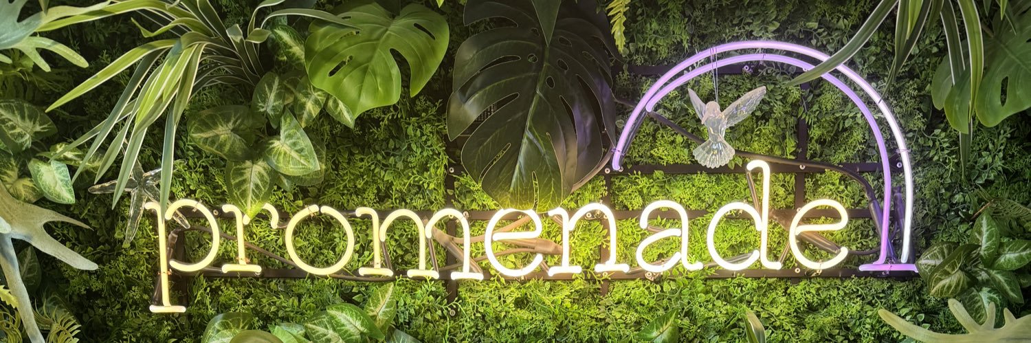 promenade🌈's banner