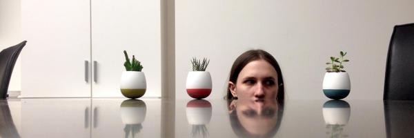 SarahExplains Profile Banner