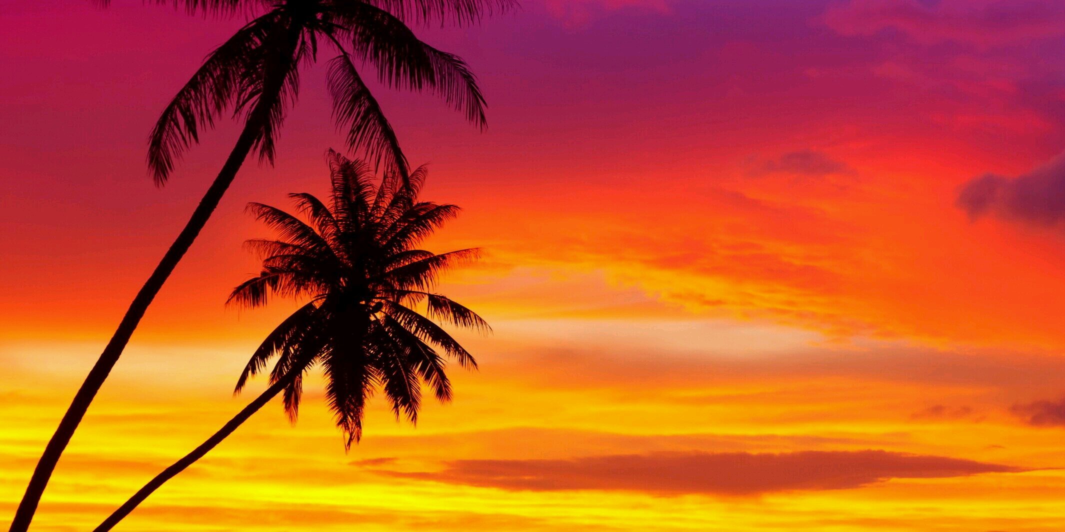 ChristinaBlaker's profile banner image
