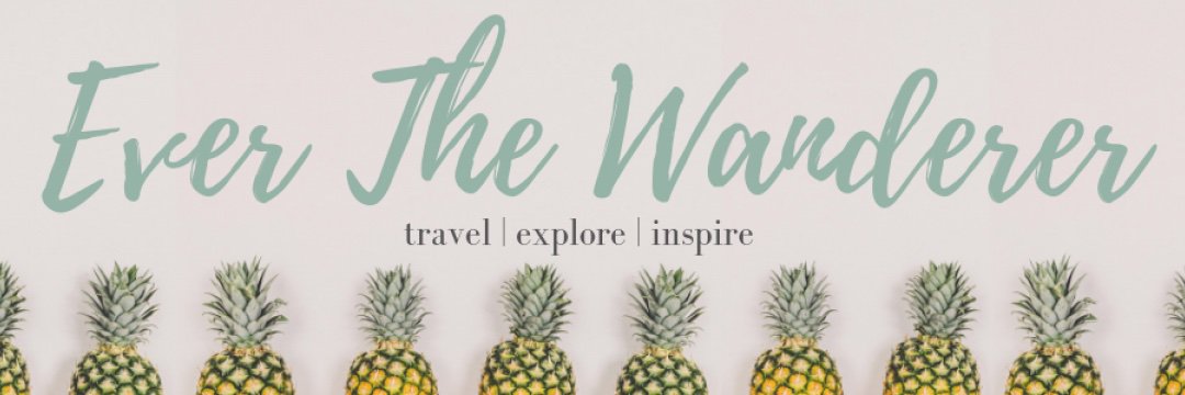 everthewanderer's profile banner image