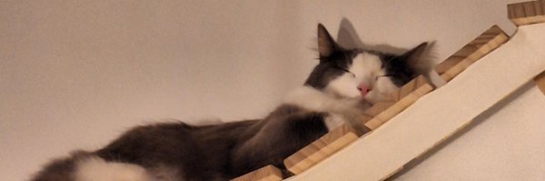 ow_xino Profile Banner