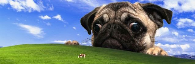 PugPotato's profile banner image