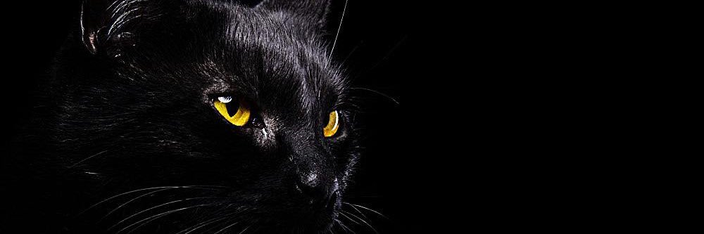 Mrxiaoxinxin's profile banner image