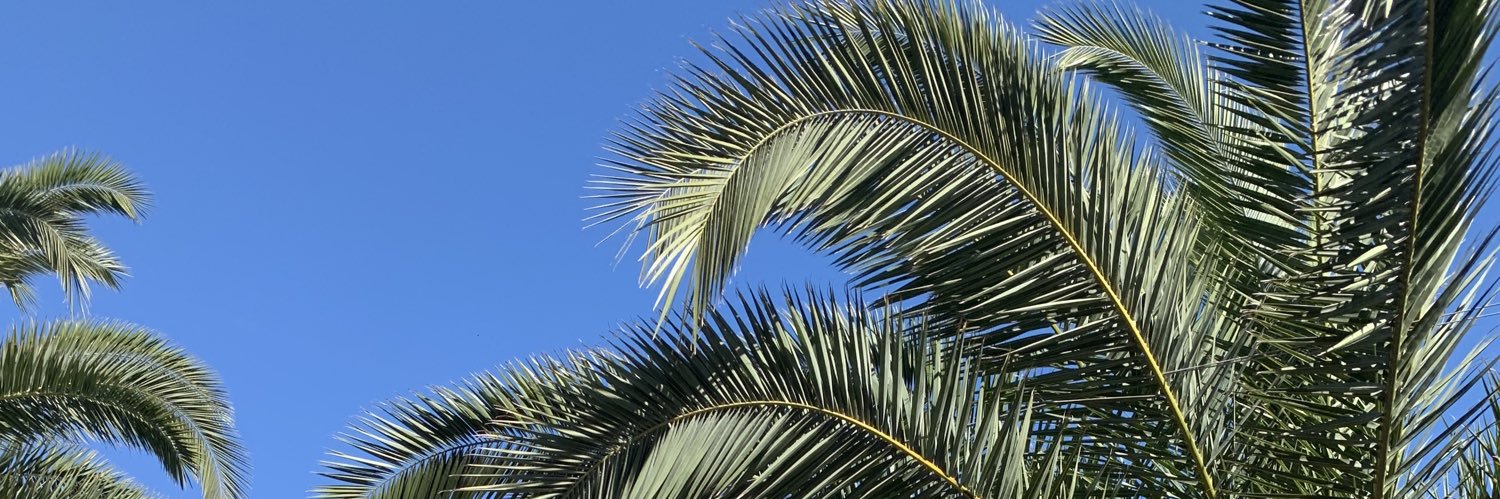 MandaKasravi's profile banner image