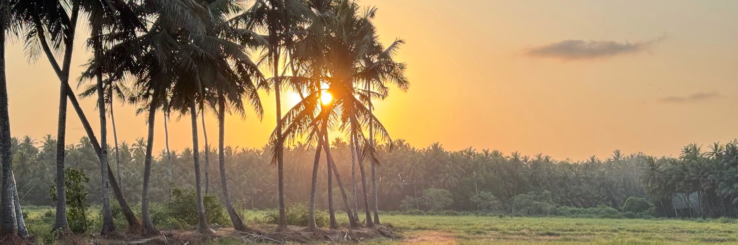 Sephi Bergerson banner